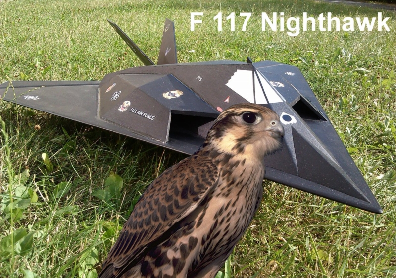 F-117 Nighthawk