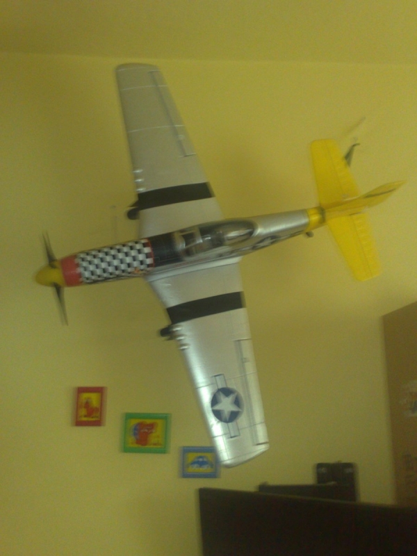 P51-D Mustang