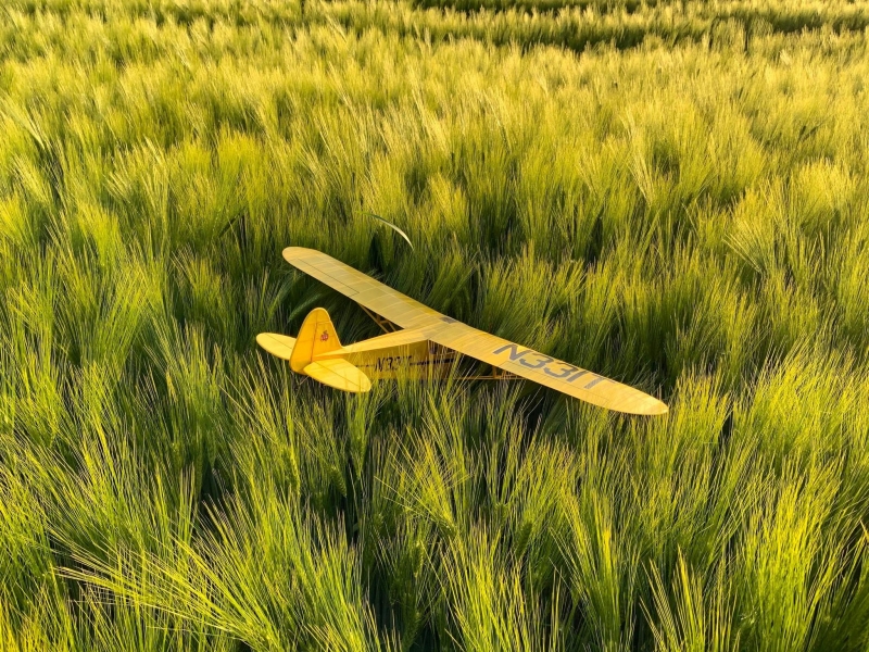 Piper J3C Cub