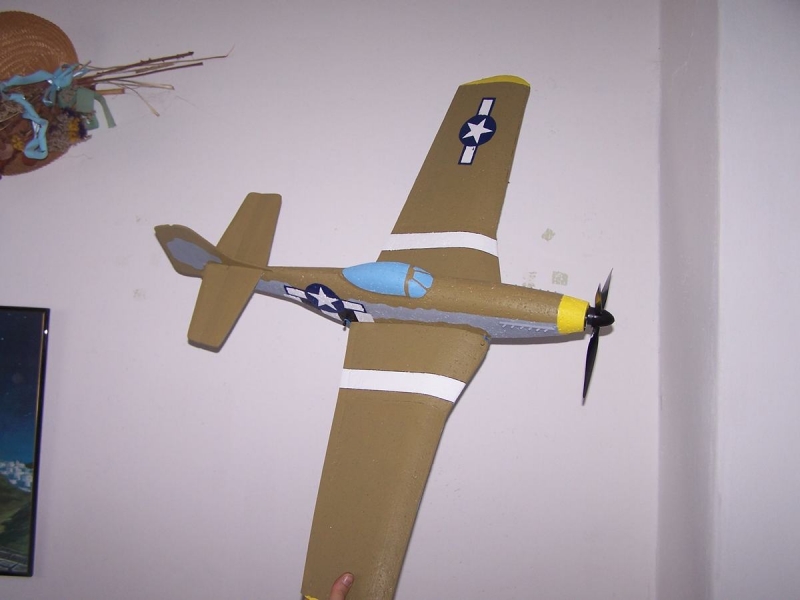 Mustang P-51D    1/12