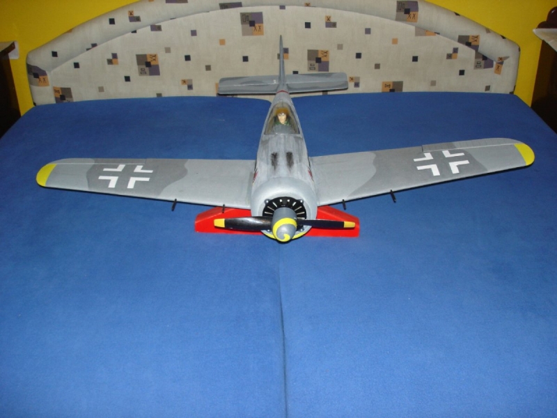 FW 190