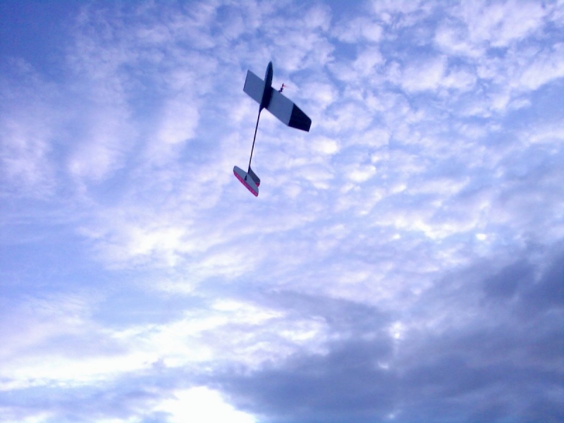 Ušák / Vingleťák