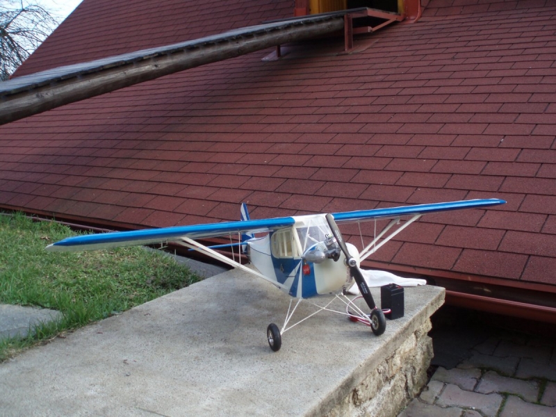 Piper J-3 clipped wing cub