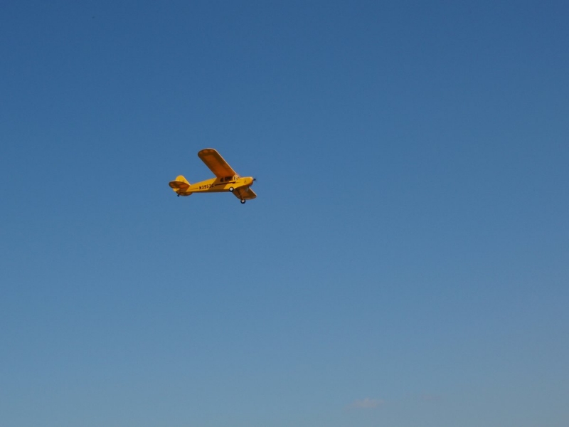 Piper J-3 Cub