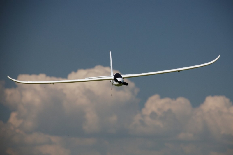 Easy Glider Electric