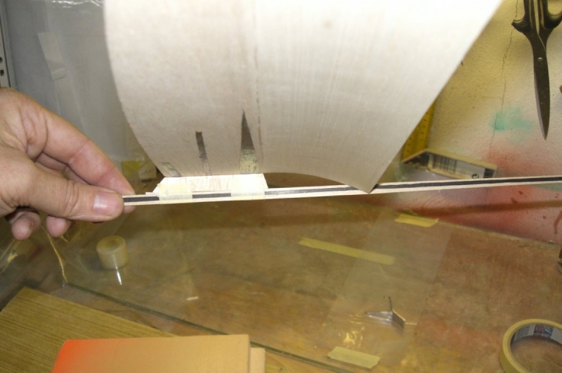 F1N Damir Kosir No.29