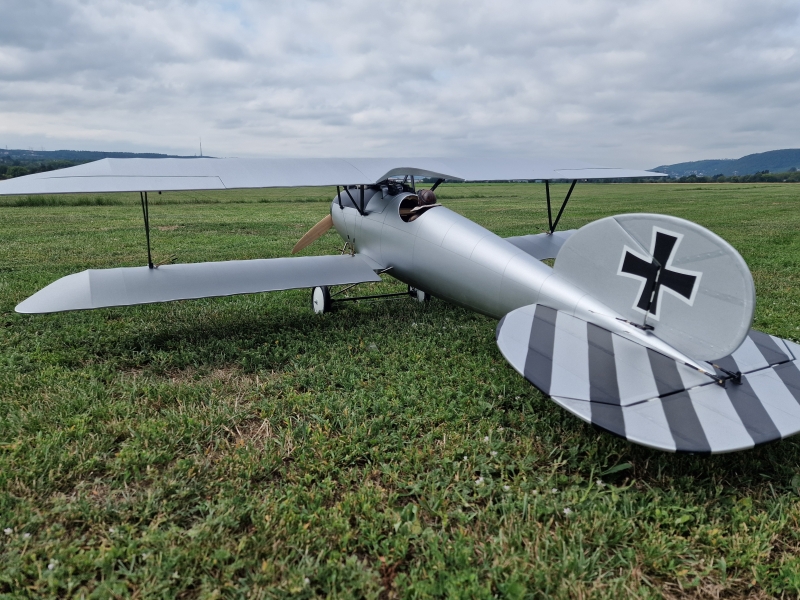Albatros DV