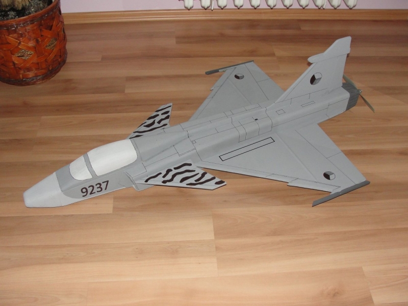 JAS 39 Gripen Park Jet