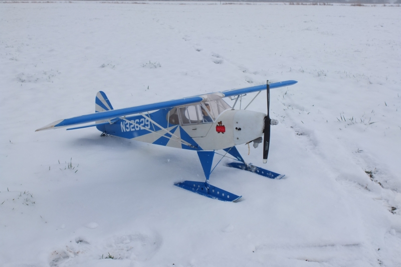 Piper 1:6 clipped wing