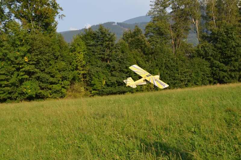 Bellanca Decathlon