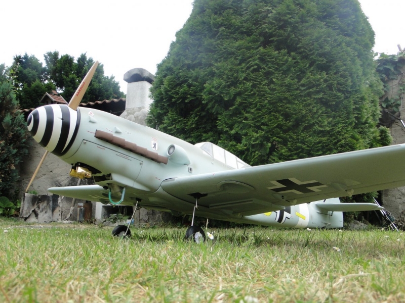 Messerschmidt BF-109