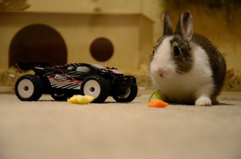 Losi Micro Truggy 1/24