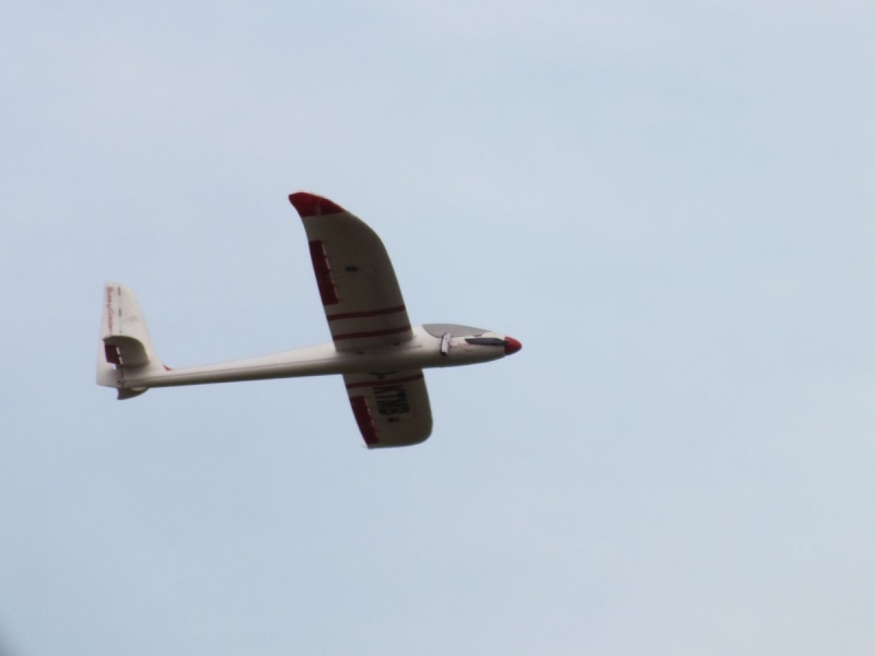 Easy Glider