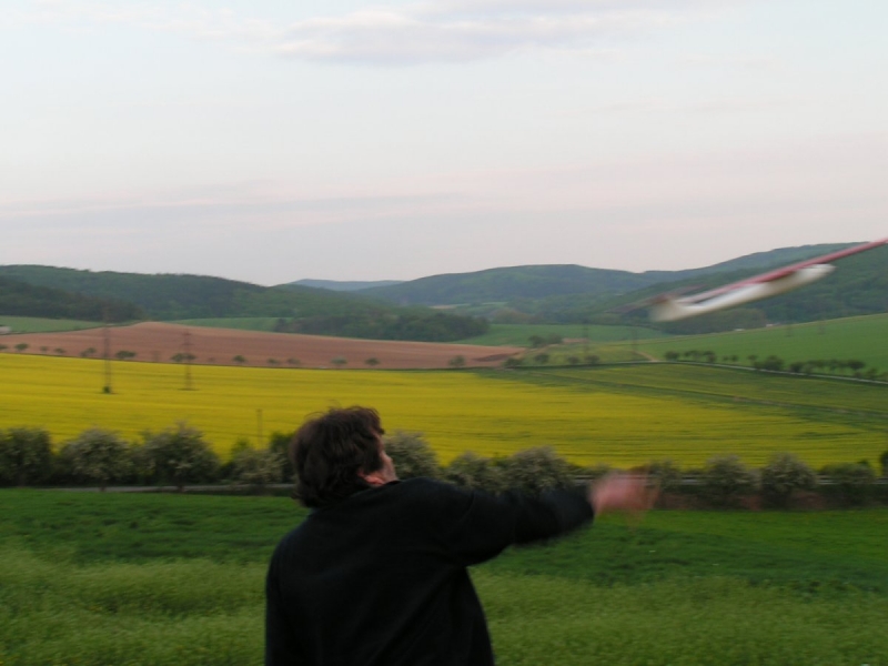 Divoch-Stinger