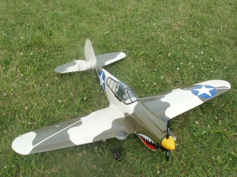p40 warhawk