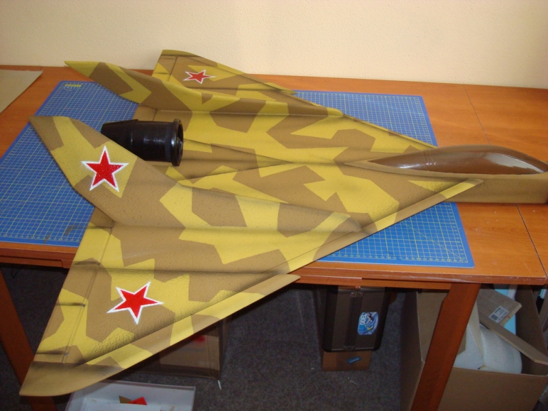 EPP delta RUBBISH EDF 64mm