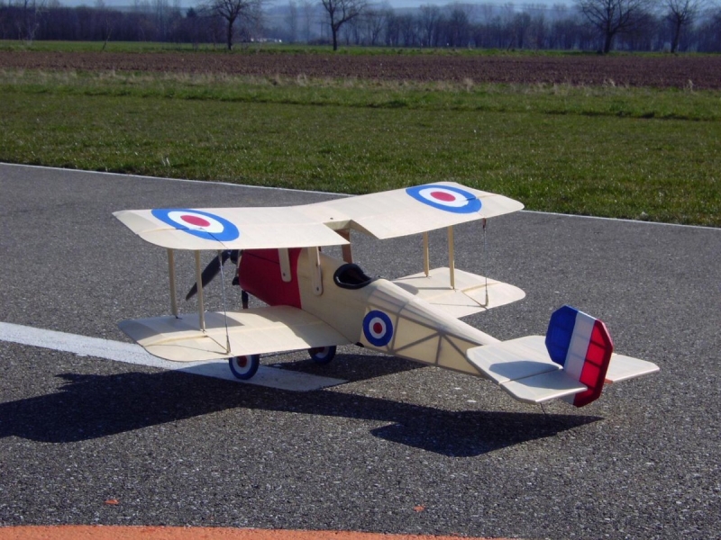 Bristol Scout