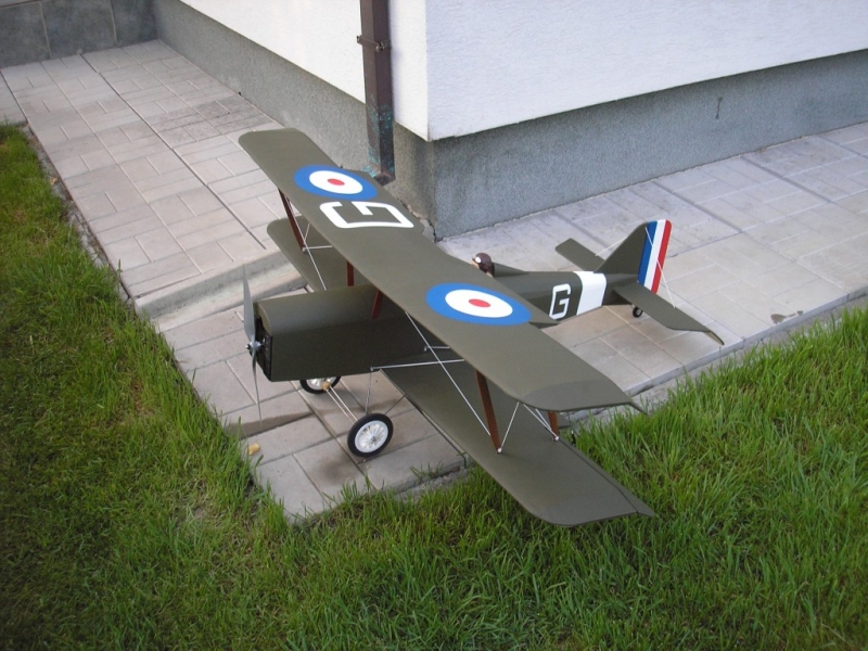 SE5a