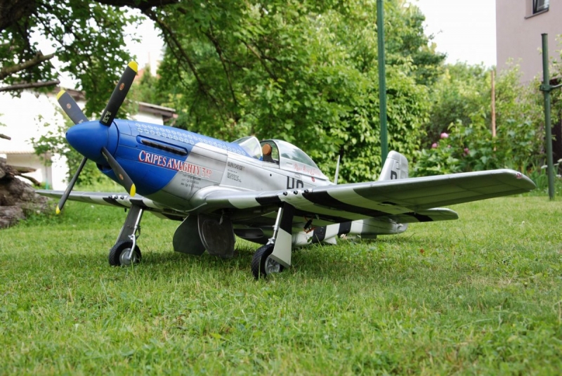 P-51 D-5 Mustang