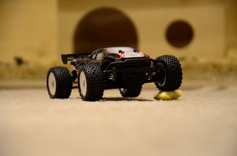 Losi Micro Truggy 1/24