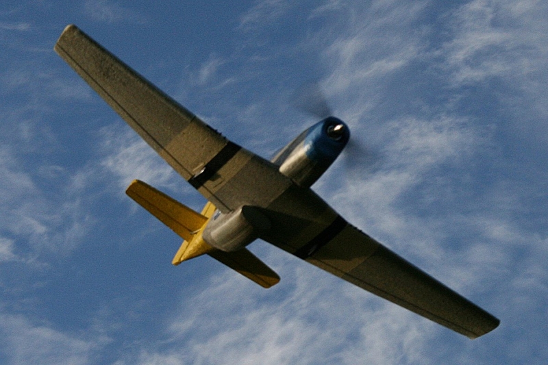 Mustang P51d EPA1200