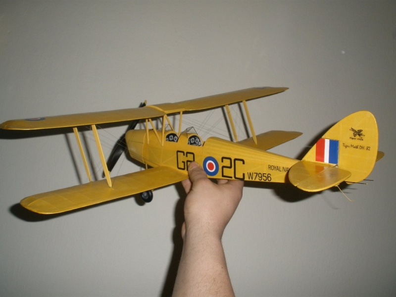 D.H-82 Tiger Moth