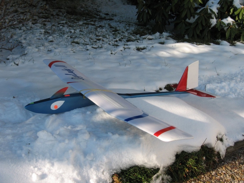 Delfínek-cvičný mod.RC