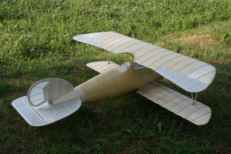 Albatros DVa
