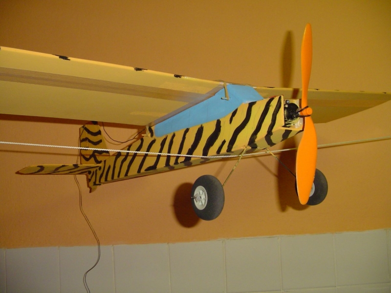 Ticholet II - Safari