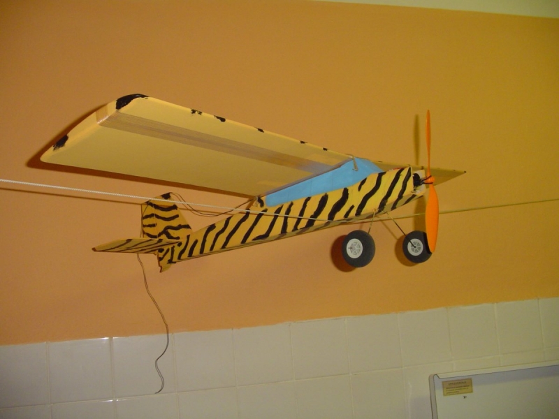 Ticholet II - Safari