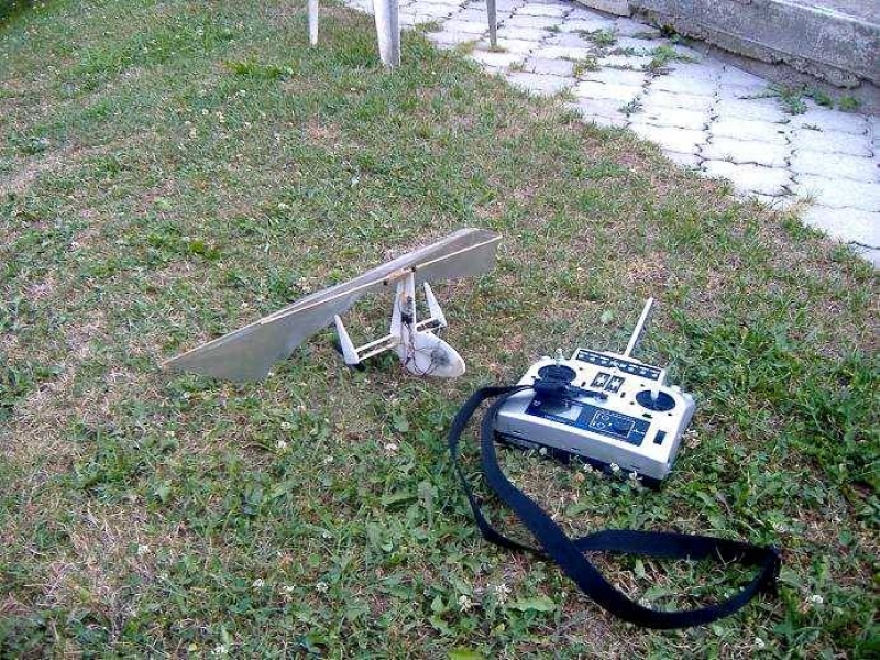 Twin motor rogallo