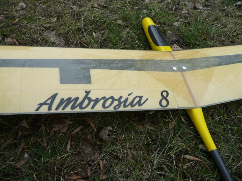Ambrosia no.8  F5J