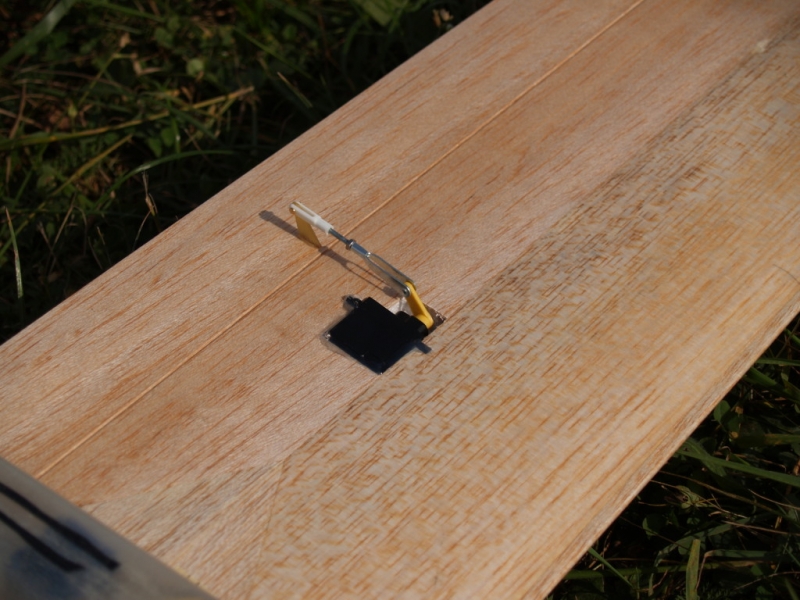 RCEK - Růžový Panter