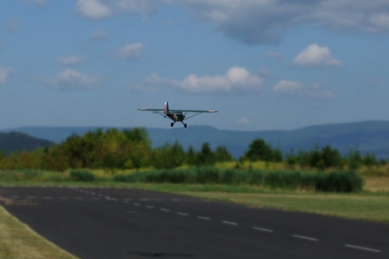 Piper Grasshoppar 1400mm