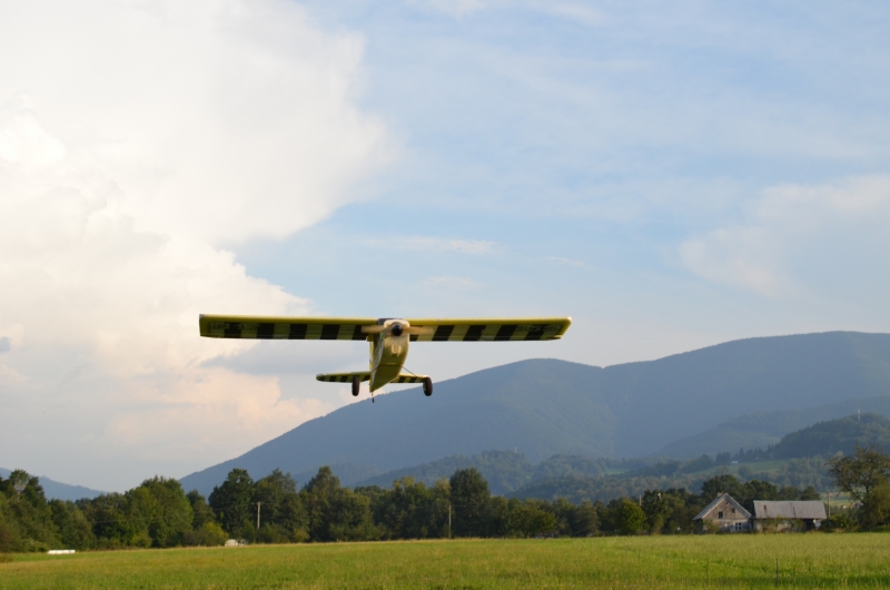 Bellanca Decathlon