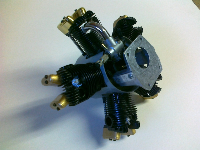 Fieseler Tigerschwalbe