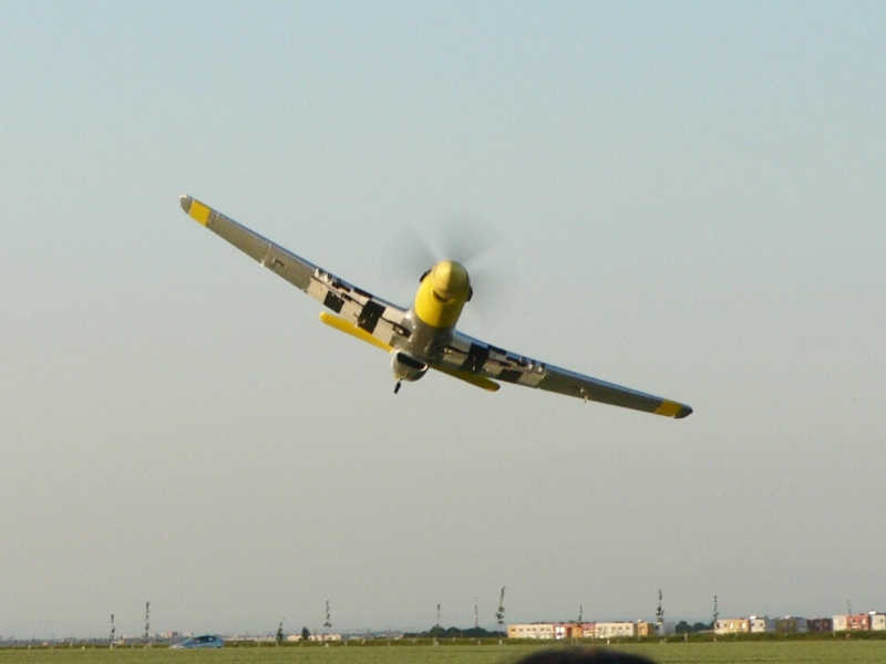 FMS  P-51D Mustang 1440mm