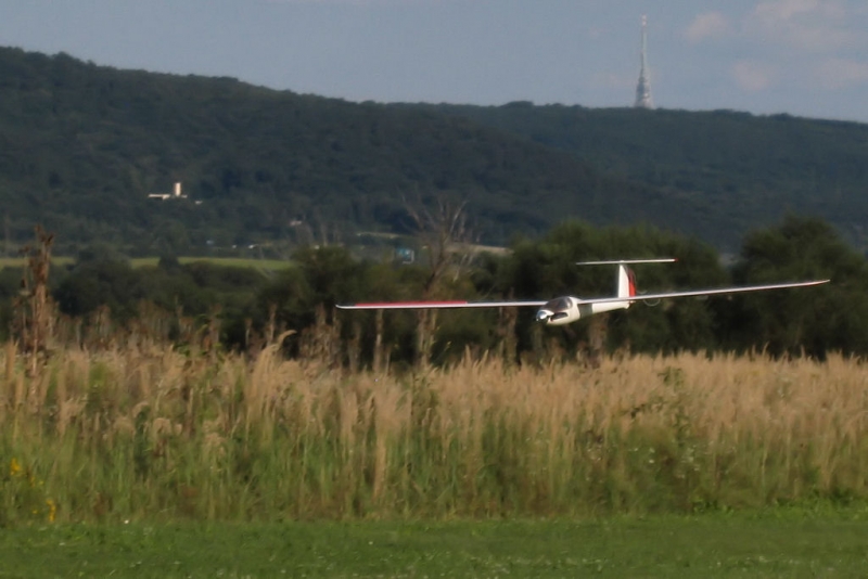 ASW 24