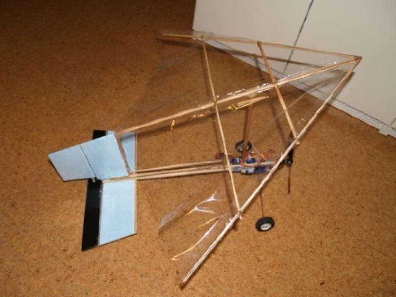 RC Rogallo