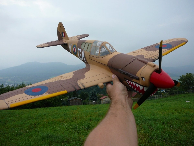 P-40 Kittyhawk combat