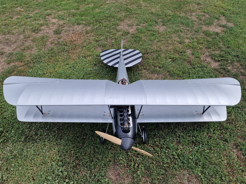 Albatros DV