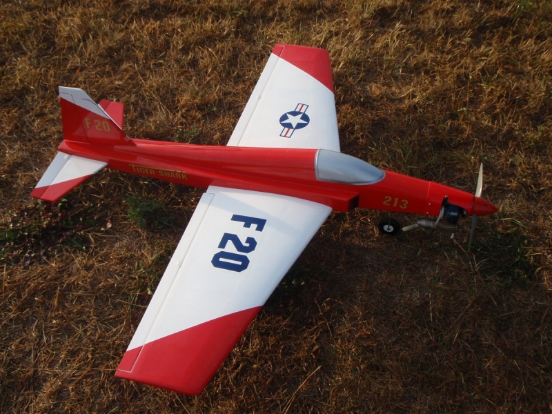 Tiger Shark F-20
