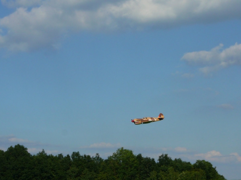 Curtis P - 40 Kittyhawk