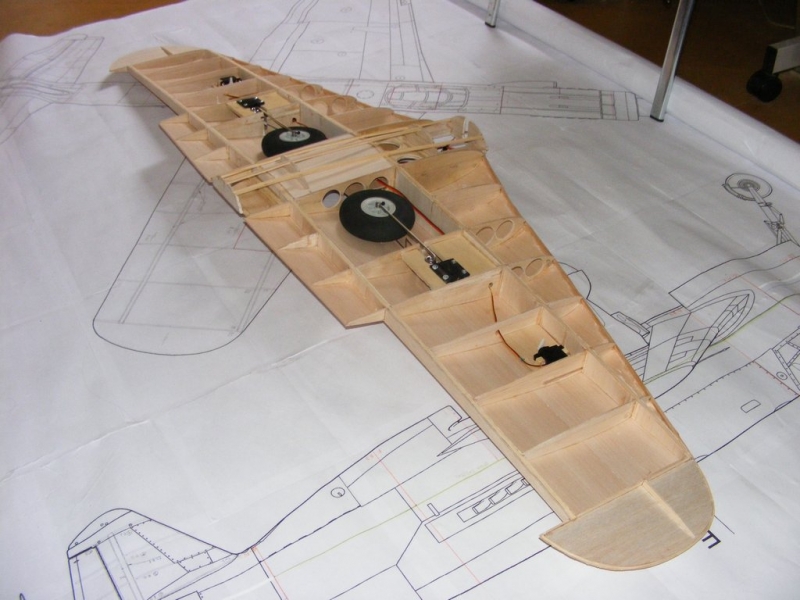 Dornier Do-335 (1:9)