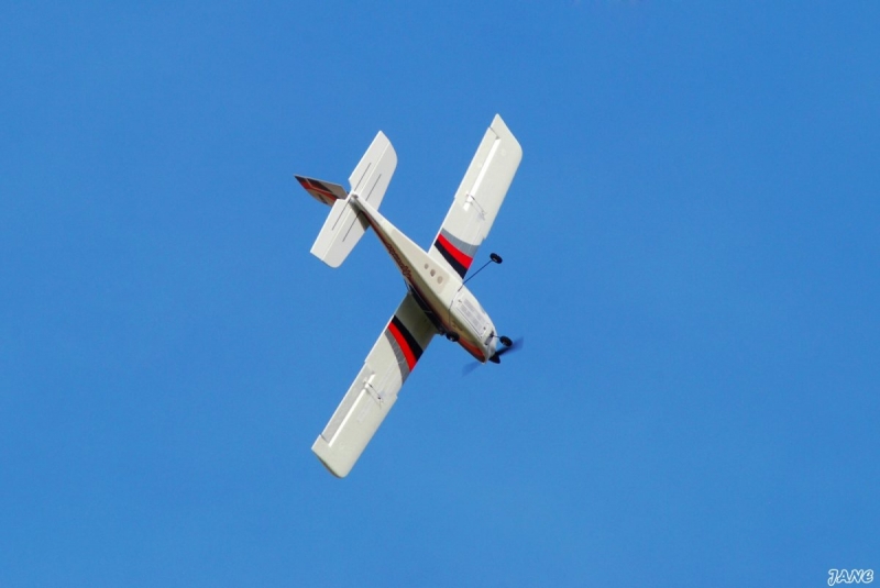 Apprentice 15e