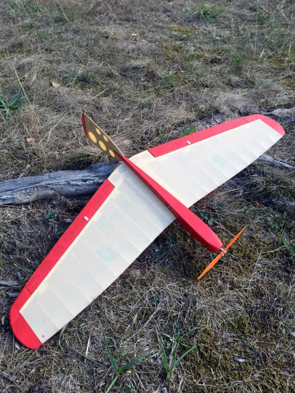 Mini SALy - E (Koláček)