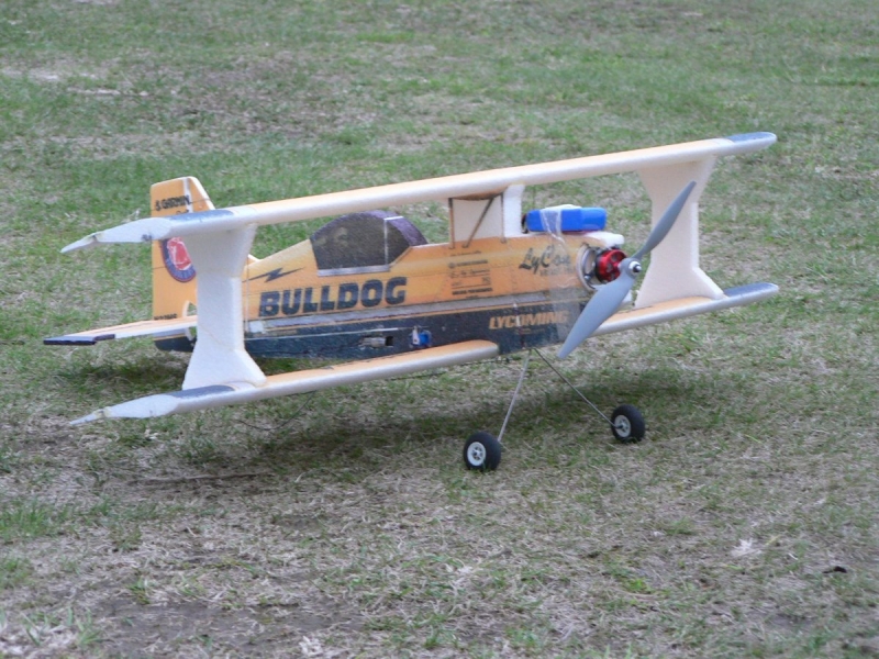 Pitts Bulldog