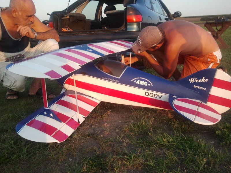 Pitts
