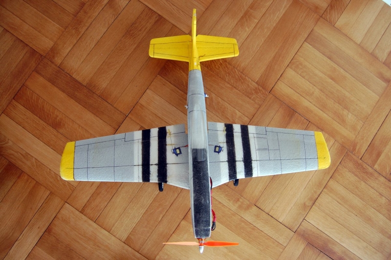 Mustang P-51