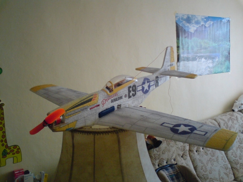 Mustang P-51 prodáno